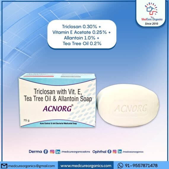 WhatsApp Image 2024-03-04 at 13.33.42_b4a4b4f2